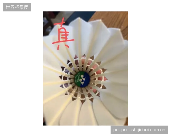 球队力争世界杯决赛圈历史首球，锋线球员承载全国期待。